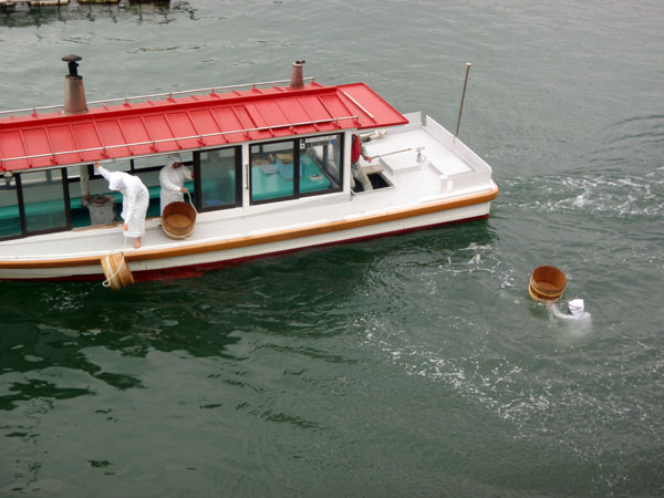 海女の実演ショー