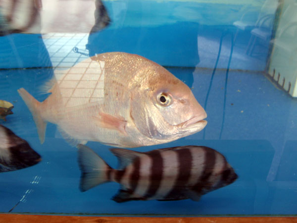 レストラン入口にて