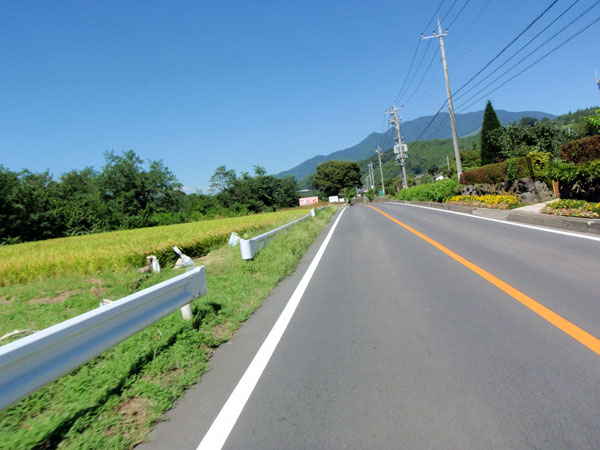 国道３５３号線