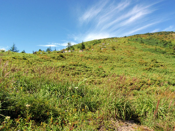 湯釜への登山道