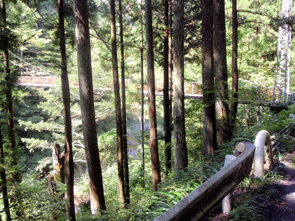 吊り橋と多摩川