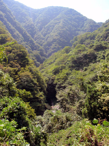奥多摩の山々