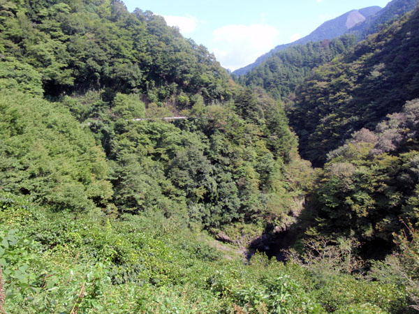 これが東京都とは・・・