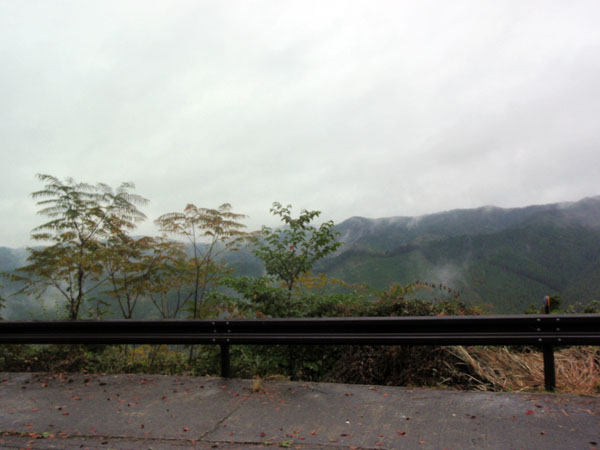 八溝山舗装林道走行中の景色