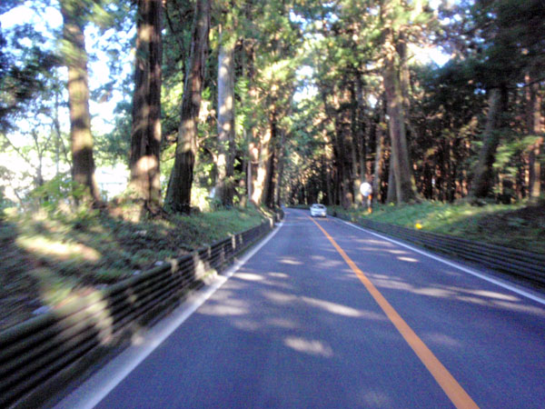 日光杉並木街道