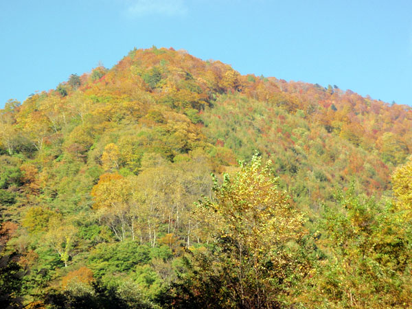 川俣桧枝岐林道の紅葉