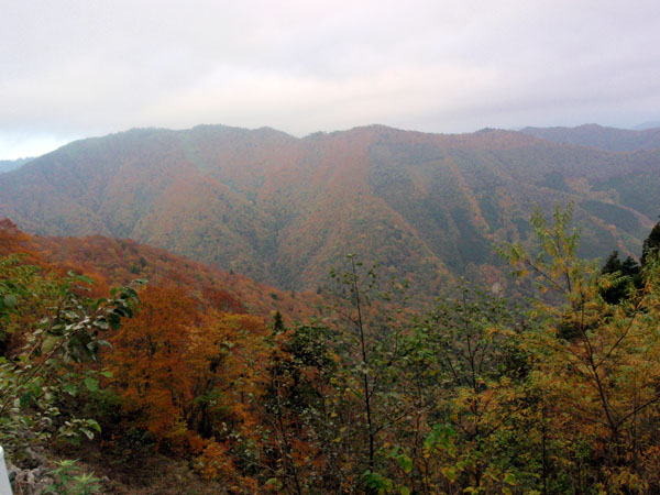田代山林道の栃木県側