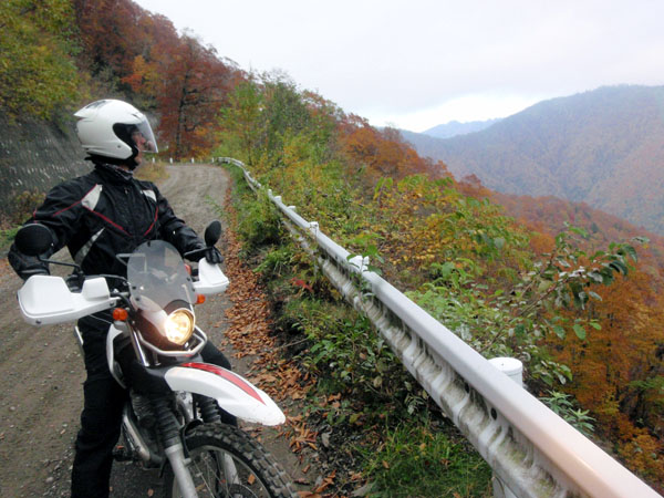 田代山林道にて