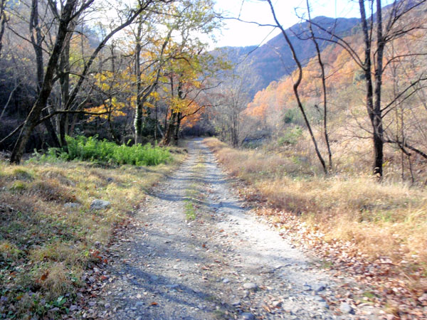 鈴蘭林道入口付近