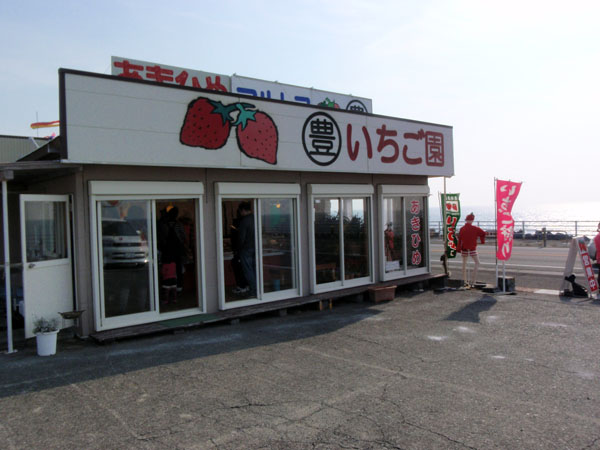 マルトヨいちご園