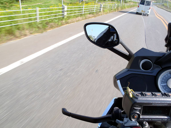 FTM-10Sの上にバッタが・・・