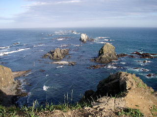 期待したアザラシの姿は無い