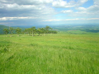 ナイタイ高原