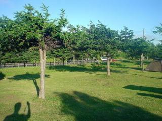 稚内森林公園キャンプ場