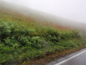 雨のビーナスライン