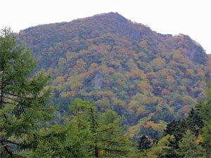 紅葉の進む山