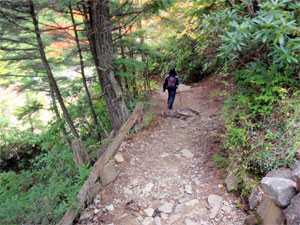 先を歩くひかり