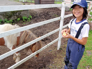 大笹牧場にて馬に餌をあげる