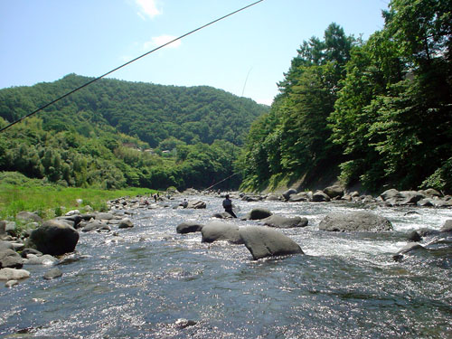 桂川の鮎釣り風景