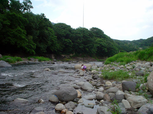 鮎釣り