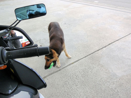 ガソリンスタンドにて