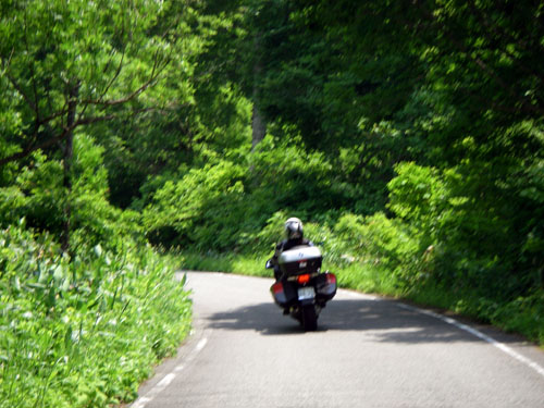 国道３５２号線を駆け抜ける