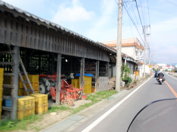淡路島の玉葱農家