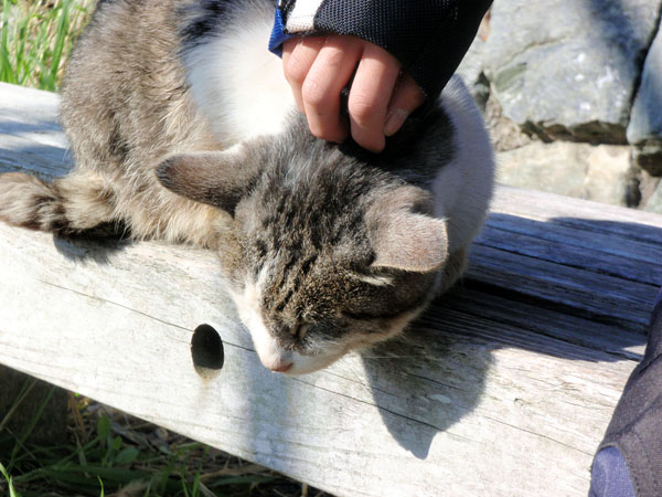 むふ～気持ちいい～！