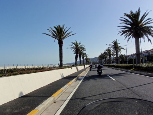 初夏を感じさせる道