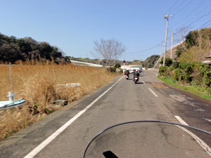 県道２１５号線