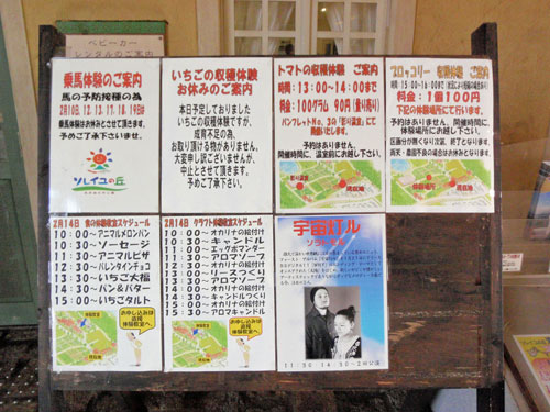 ソレイユの丘のイベント