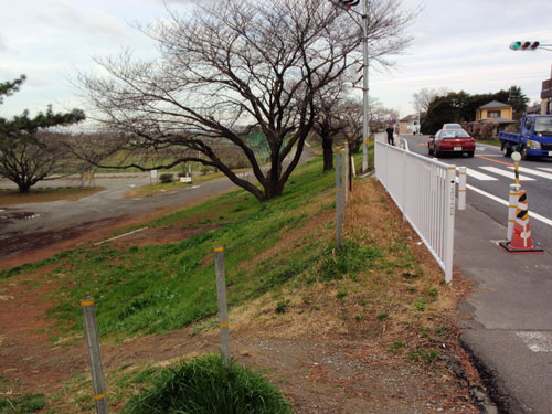 多摩川読売巨人軍グランド付近