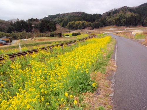 小湊鉄道大久保付近