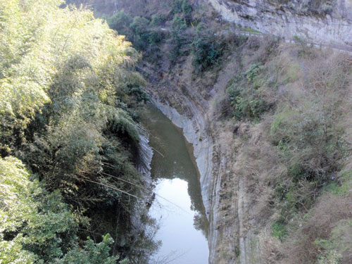 県道８８号線沿いで見た景色