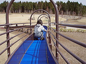 ���߂̊����͎����ꏏ�Ɋ���