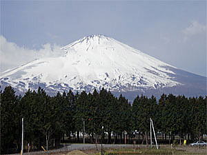 �������猩���x�m�R