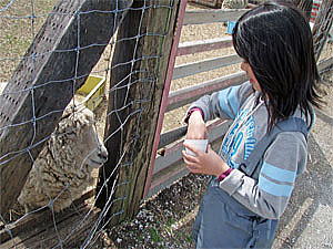 �r�����܂�