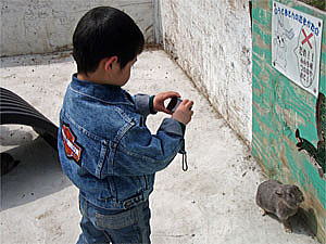 �k���N�̎B�e���i