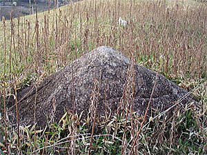 �x�m�R�Ɏ�����