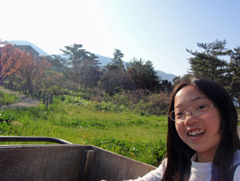 リヤカーに乗るひかり