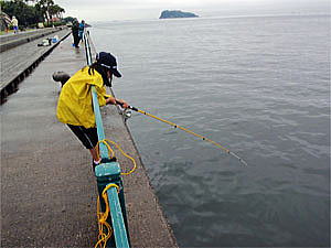 釣りを楽しむひかり