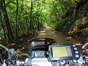 安ヶ森林道走破