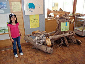 ただみ川のものしり館