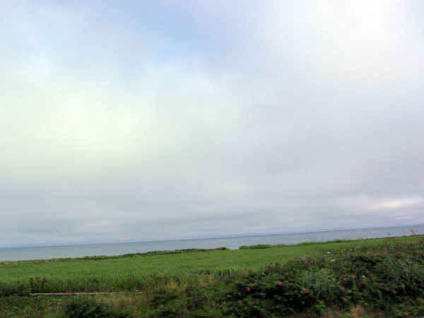 道道１０６号線にて