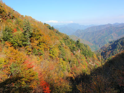 三国峠の紅葉