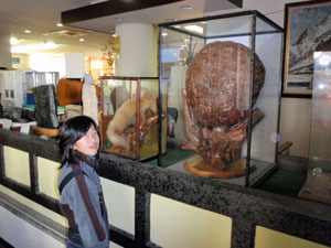 スズメバチの巣