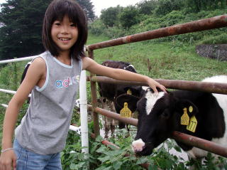 牛をなでるあかり