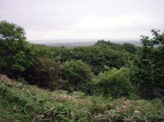 遠くの景色に釧路湿原