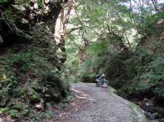 鈴蘭林道のハードな道