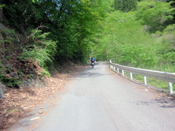 林道「広河原逆川線」